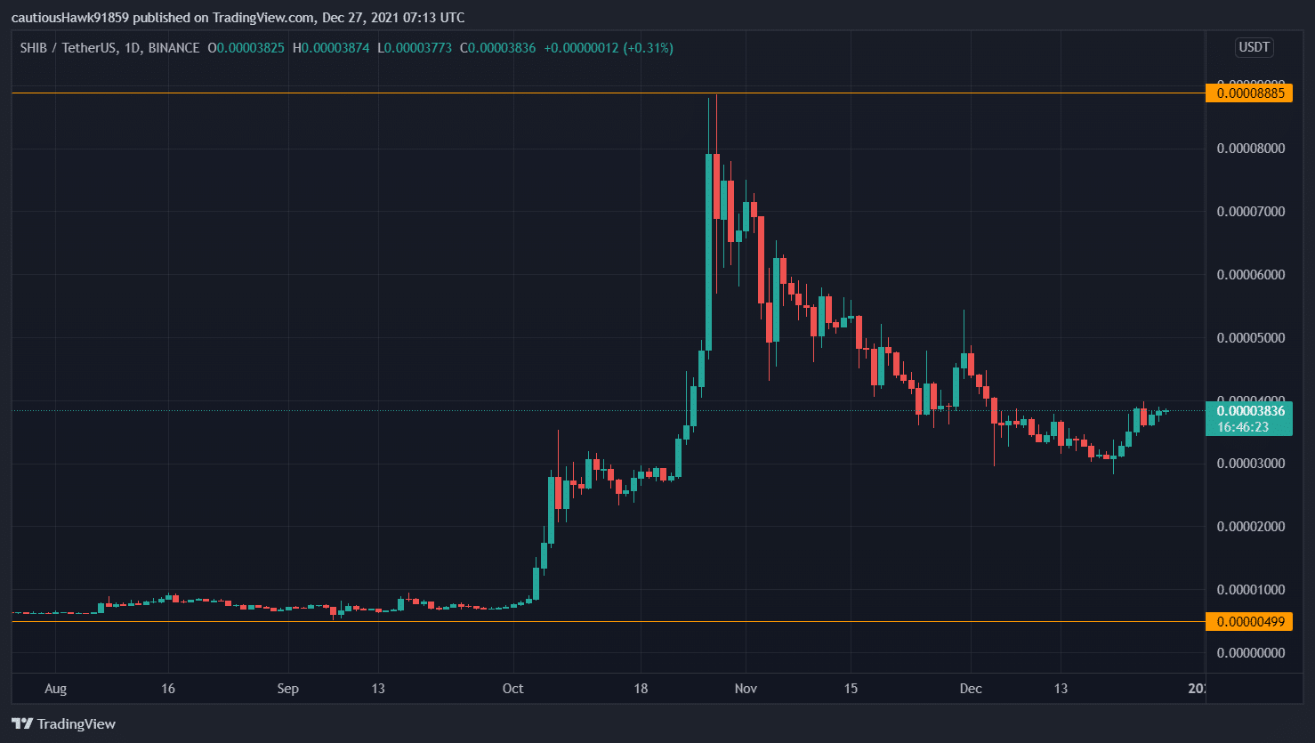 Цена SHIB с лета - Источник: TradingView, DOGE/USDT