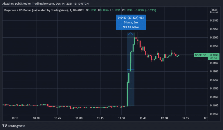 Evolución del precio de DOGE tras el tuit de Elon Musk (Fuente: Trading View)