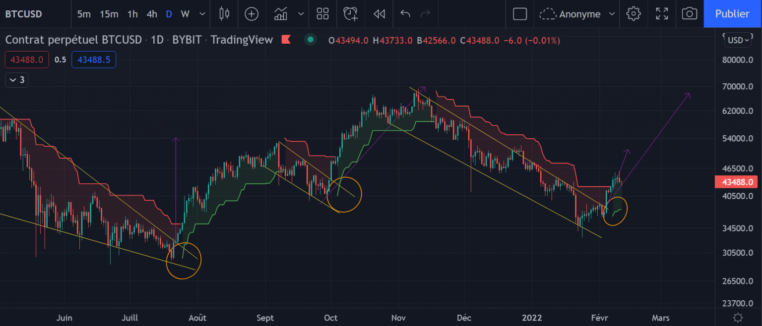 The Bitcoin Daily Chart