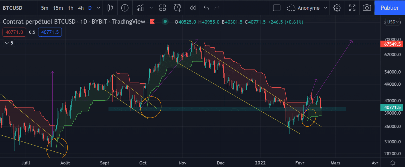 The Bitcoin Daily Chart