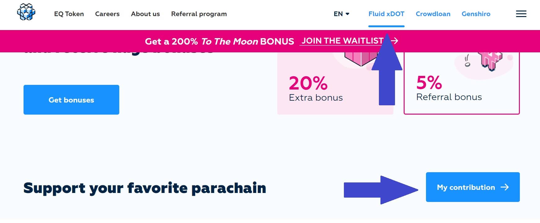 Esempio di contributo a un'asta tramite il sito web di un progetto