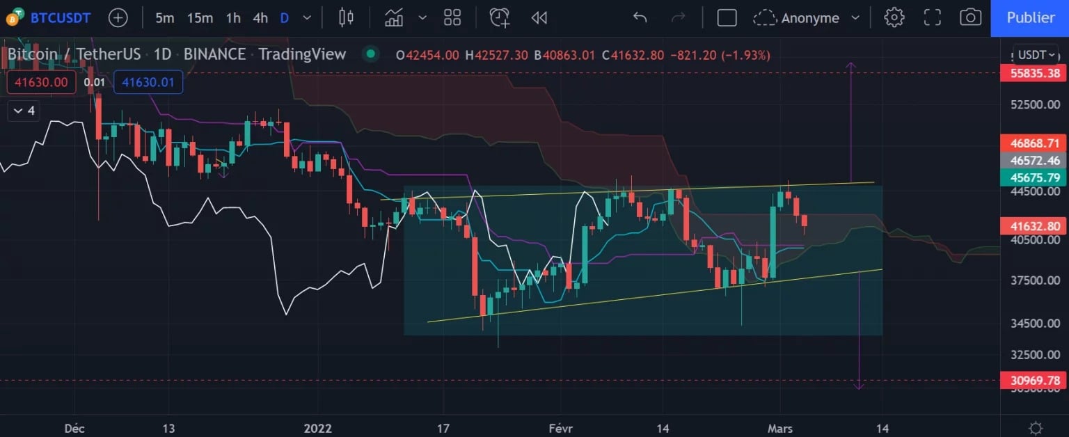 The Bitcoin Daily Chart