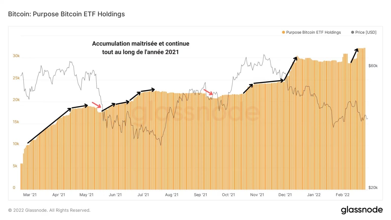 Figure 11: Purpose Bitcoin ETF の BTC 保有量