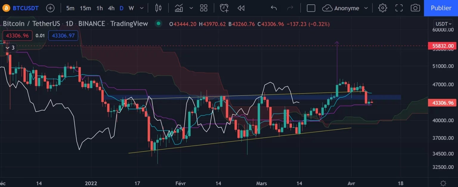 The Bitcoin Daily Chart