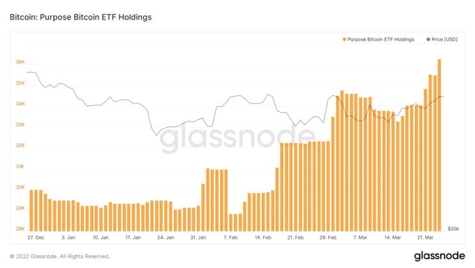 (Source: Glassnode)