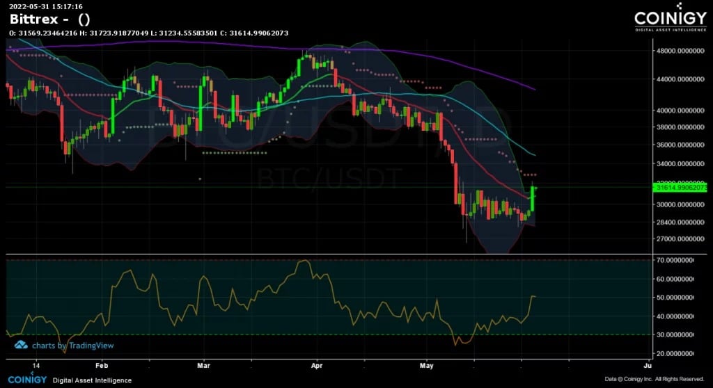 图1:每日比特币(BTC)价格