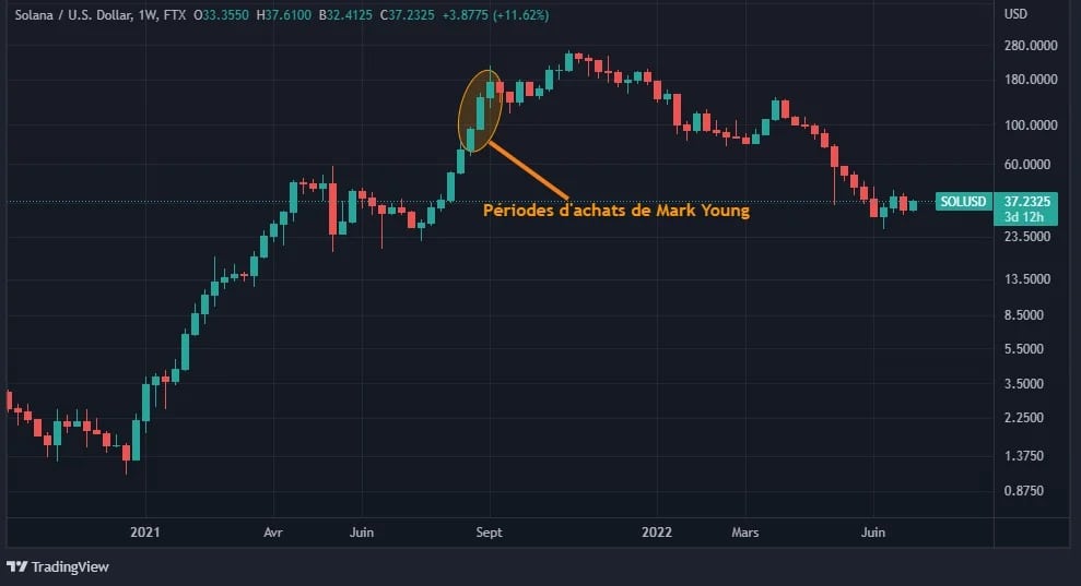 The time frame in which Mark Young made his investments