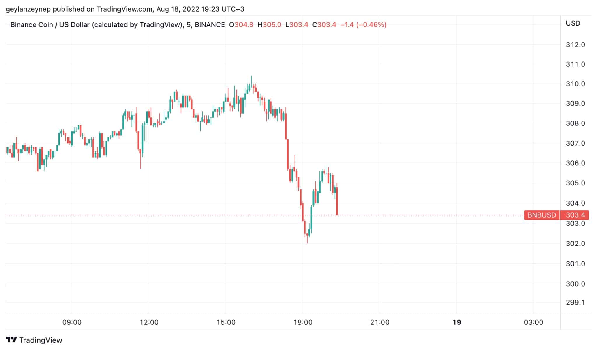 Gráfico BNBUSD (vía tradingview.com)