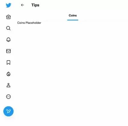 Заснемане на Twitter API от Jane Manchun Wong