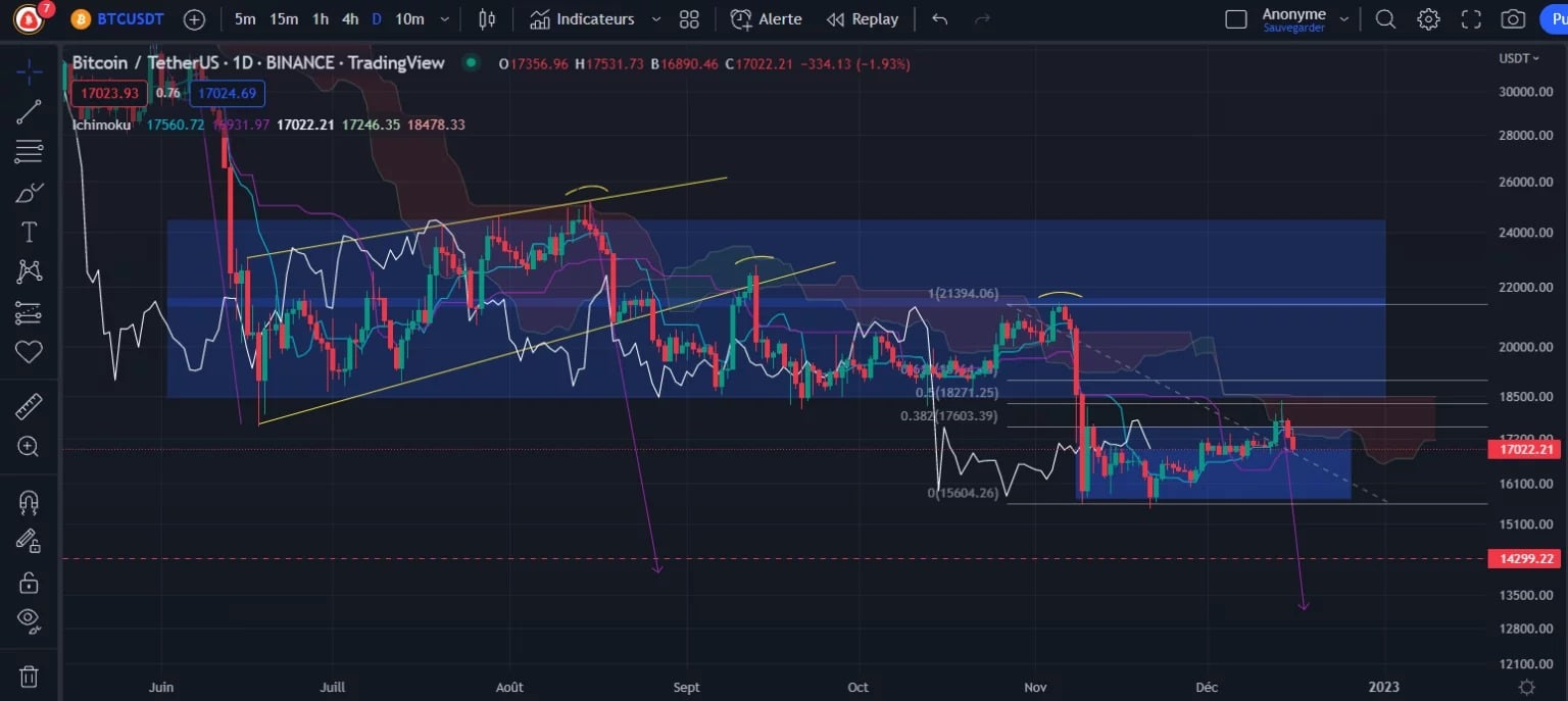 Figura 1 - Grafico del prezzo giornaliero di Bitcoin