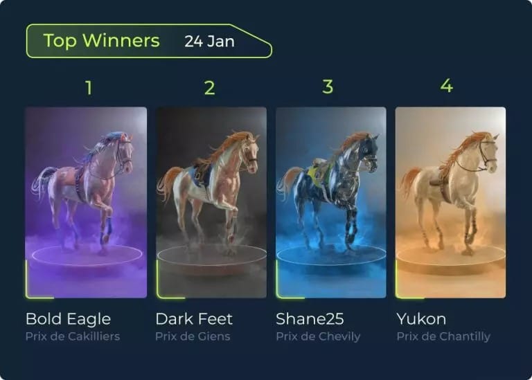 Figure 2 - Overview of a Stables race result