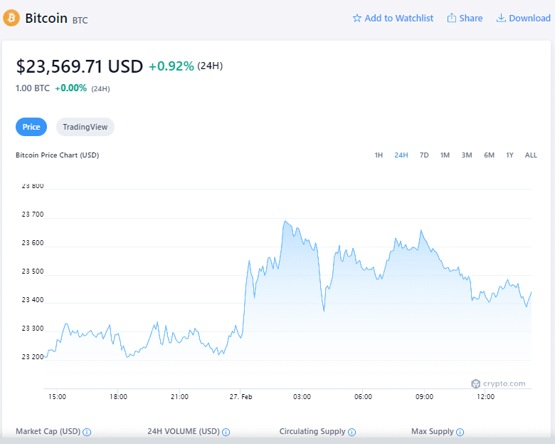 Bitcoin Price (Fev '23)