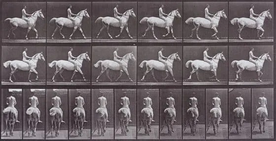 Eadweard Muybridge's