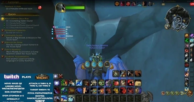 Chat bloqué pendant un tour de dragon
