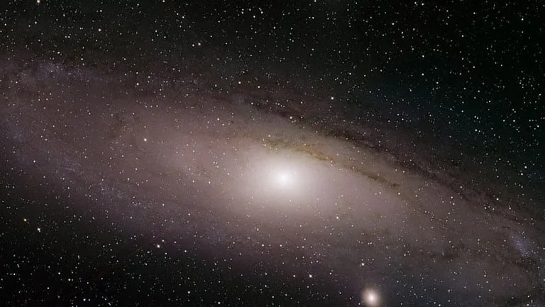 在帕洛玛天文台拍摄的仙女座星系的新合成图像,由三个波段的可见光组合而成。图片来源:ZTF/D. Goldstein and R. Hurt (Caltech)