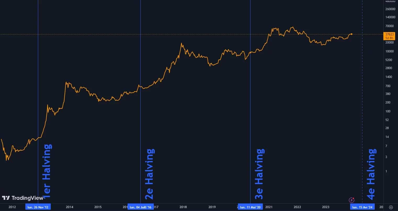 Bitcoin's price evolution and halvings