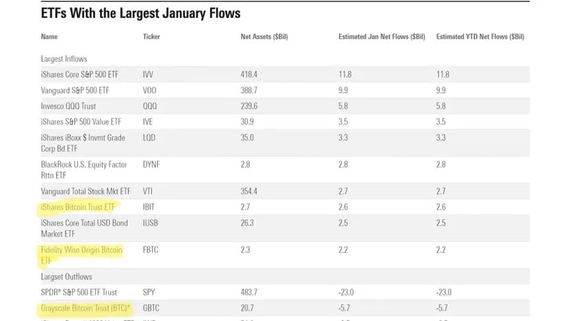 Image : Capture d'écran du classement Morningstar des ETF par flux de janvier 2024.