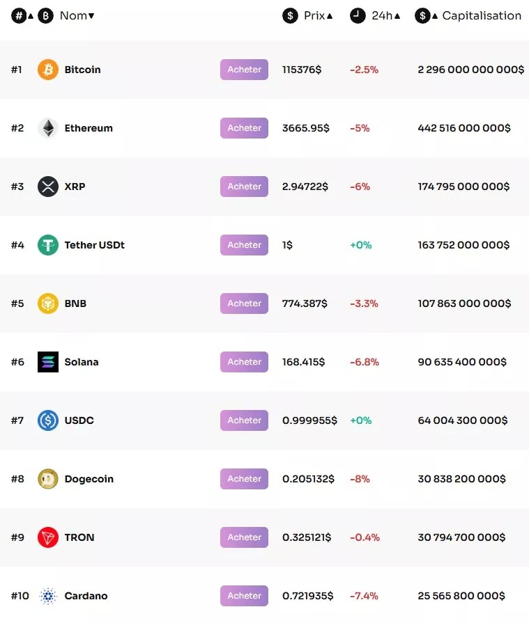 Performance of the top 10 cryptocurrencies