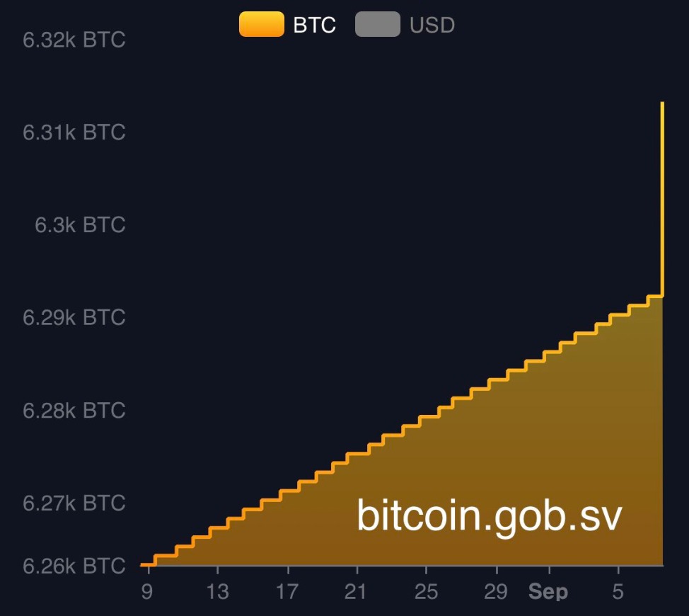 Saldo da carteira Bitcoin de El Salvador