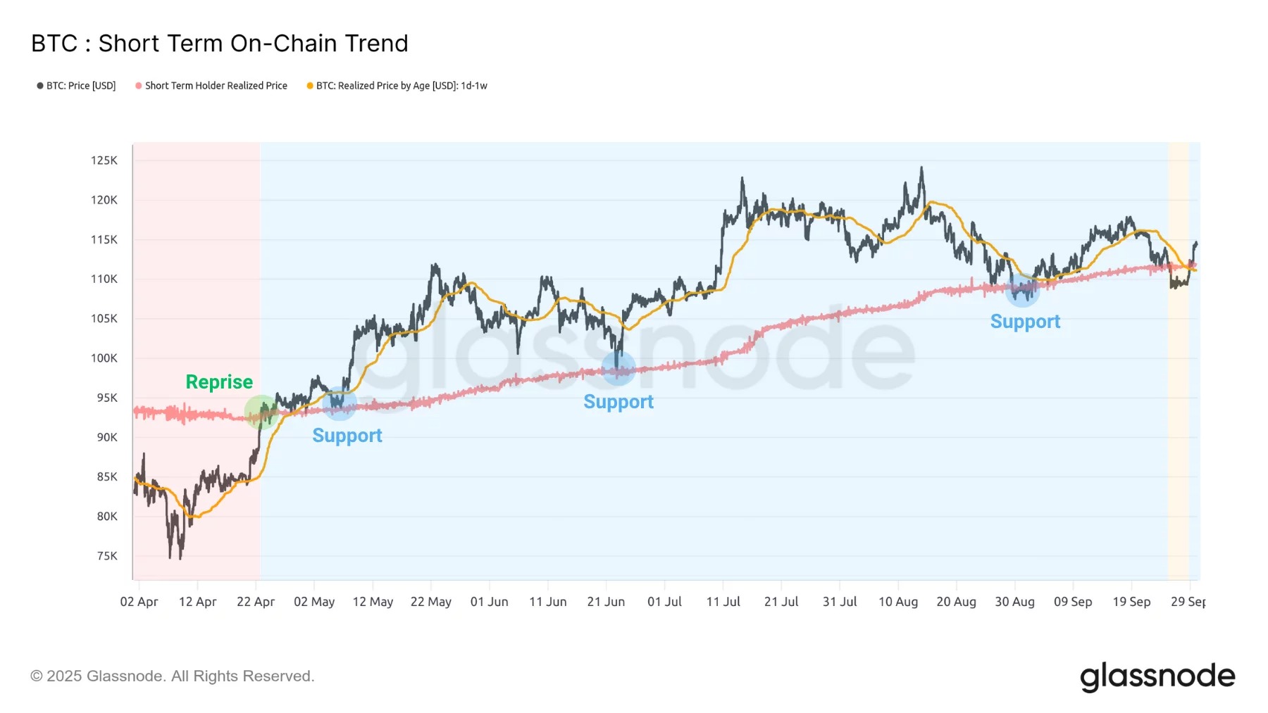 Figure 3: Realized price of short-term investors