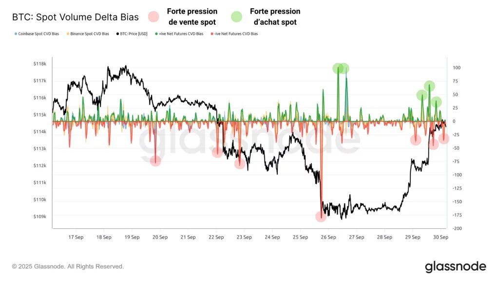 Figure 6: Net buying/selling volume on spot markets