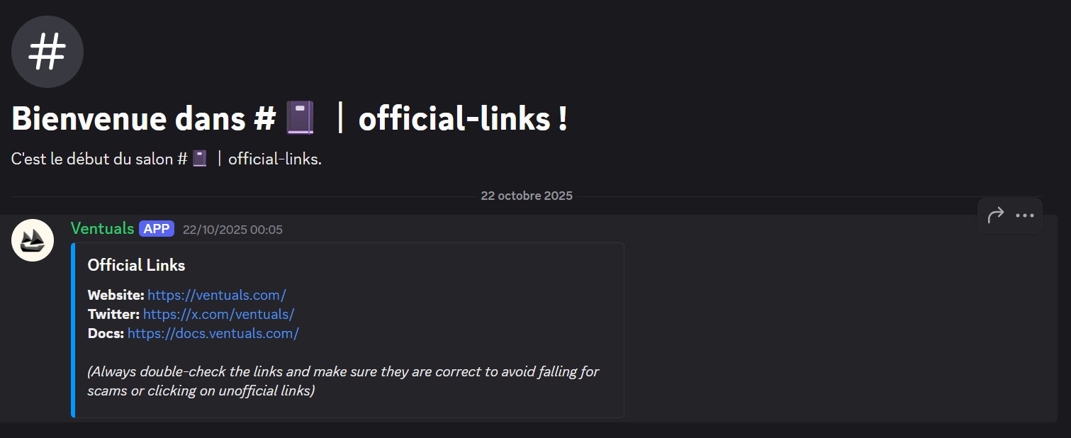 Imagen oficial del Discord de Ventuals